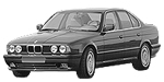 BMW E34 B3634 Fault Code